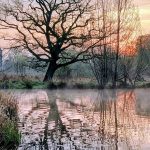 La météo en Belgique : un mardi avec un soleil moins présent - RTBF Actus