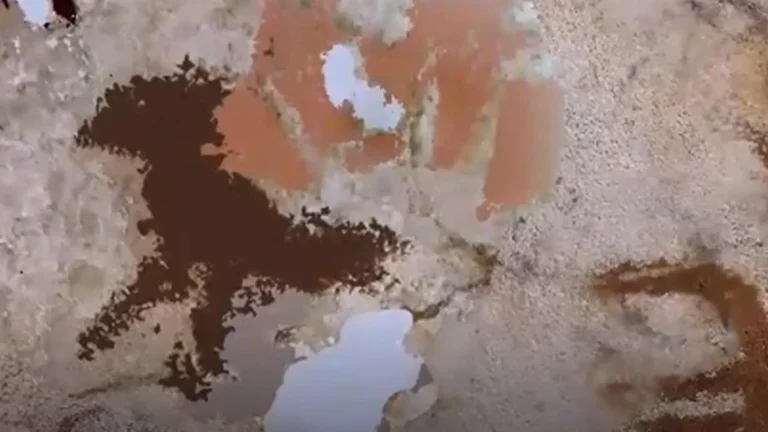 Une empreinte de main vieille de 67 800 ans : la plus ancienne œuvre d'art découverte