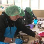 Charente-Maritime : un lycée de la mer lance une formation d'écailler pour les ostréiculteurs