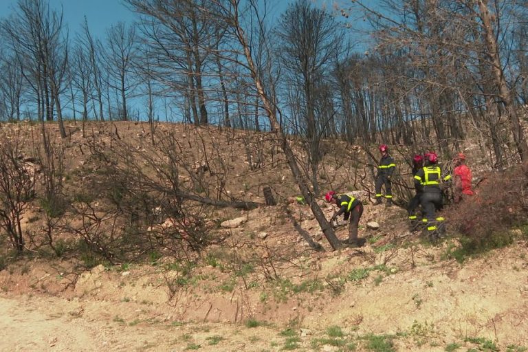Rouvrir le territoire des Corbières : un défi colossal après l'incendie de l'été dernier