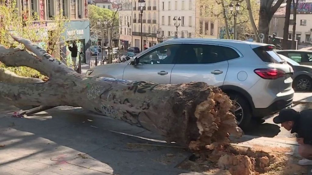 Vents violents : le sud-est de la France atteint des pointes à plus de 150 km/h