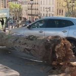 Vents violents : le sud-est de la France atteint des pointes à plus de 150 km/h