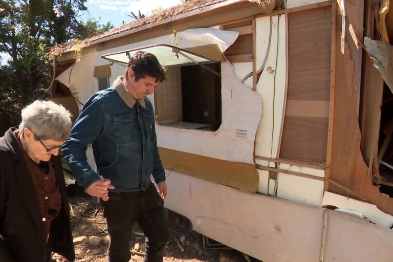 Un arbre écrase le mobil-home d'Yvette : une cagnotte solidaire lancée pour l'aider