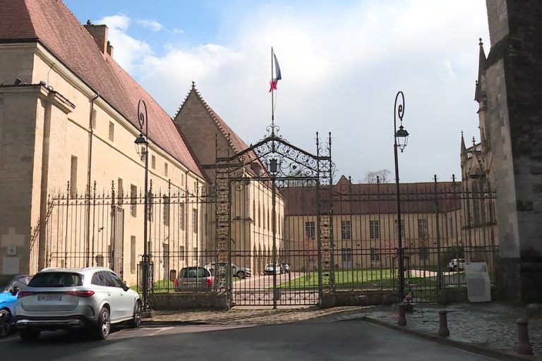 Procès d'une mère accusée d'infanticides : un cas hors norme et incompréhensible