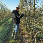 Retour du gel : les agriculteurs se mobilisent pour protéger les pommiers en une nuit