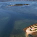 Bretagne : découverte des îlots du Morbihan et de leur richesse naturelle