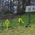 Dégâts de la tempête Nils : une pension canine attend la reconnaissance de catastrophe naturelle pour les travaux