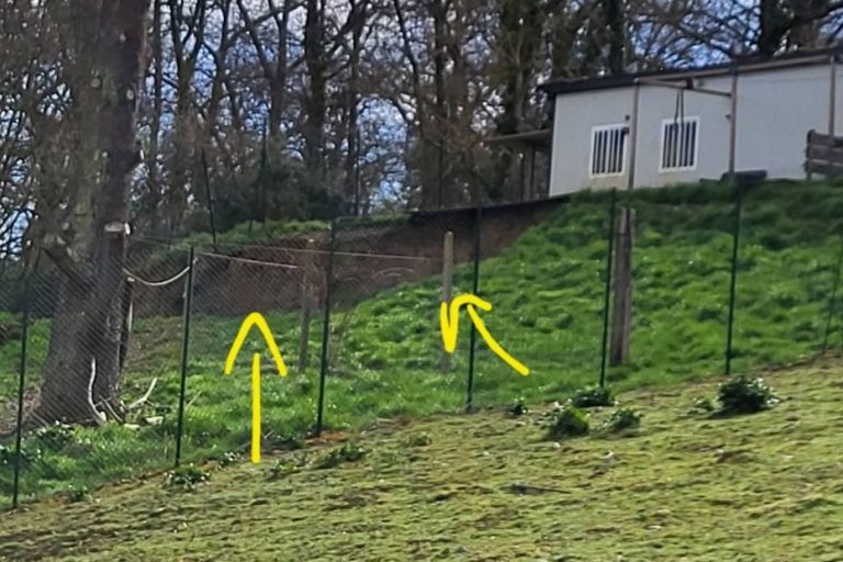 Dégâts de la tempête Nils : une pension canine attend la reconnaissance de catastrophe naturelle pour les travaux