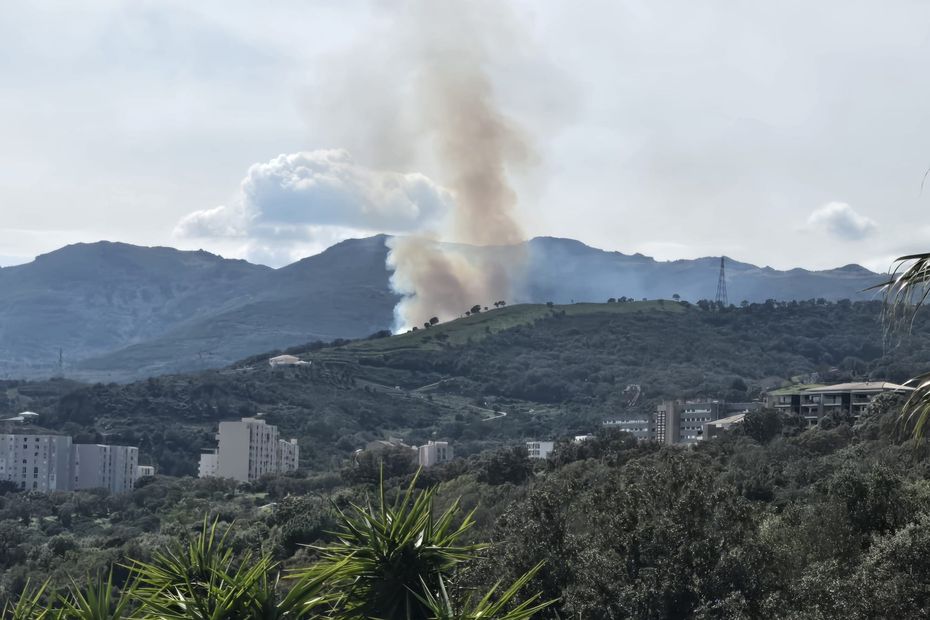 Incendie à Furiani : deux hectares ravagés par les flammes
