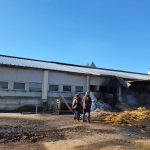 Feu dans un hangar agricole : les pompiers évacuent les brebis en urgence