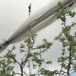 Météo : Pommiers vulnérables, les arboriculteurs et maraîchers se préparent au gel tardif