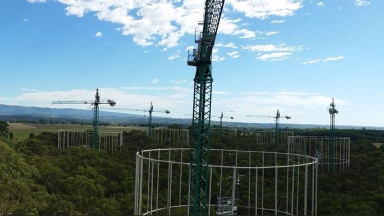 Prairies sous Plexiglas : les scientifiques utilisent des images satellite pour modéliser le climat