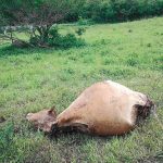 Une convention pour renforcer la sécurité des exploitations agricoles