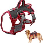 Harnais pour Chat de Petite et Moyenne Taille, Harnais Chat Anti-Fugue avec poignée, Harnais Chien & Chaton idéal pour l&rsquo;entraînement et Les activités de Plein air