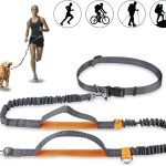 Mystery Laisse Chien Mains Libres, Laisse de Jogging Réglable et Élastique avec Coutures Réfléchissantes pour Chiens jusqu&rsquo;à 110 kg