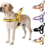 AIITLE Harnais Tactique Anti-Fuite amélioré pour Chien, réglable au Niveau du Cou et de la Poitrine, Anti-Traction, avec poignée rembourrée Souple, idéal pour Les Grands Chiens Jaune-Violet L