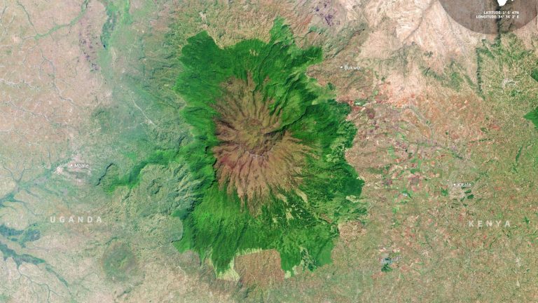 Image satellite : le parc national du Mont Elgon, entre Ouganda et Kenya
