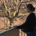 "C'est le patriarche qui choisit le repreneur" : évincée de la ferme familiale, Aline lutte pour les droits des agricultrices en Suisse