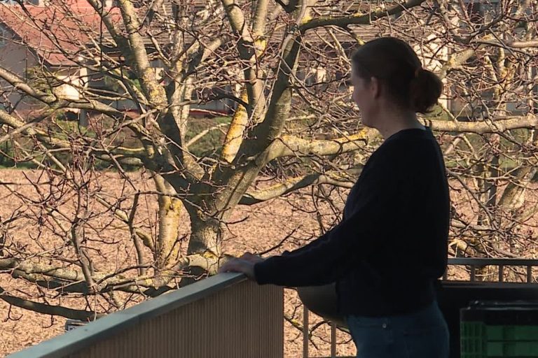 "C'est le patriarche qui choisit le repreneur" : évincée de la ferme familiale, Aline lutte pour les droits des agricultrices en Suisse