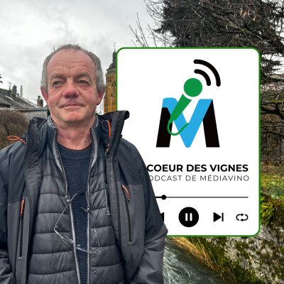 Arbois l Hervé Ligier : président de l'A.O.C Arbois (Extrait) cover