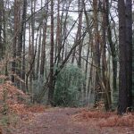 Page d'accueil Yahoo news