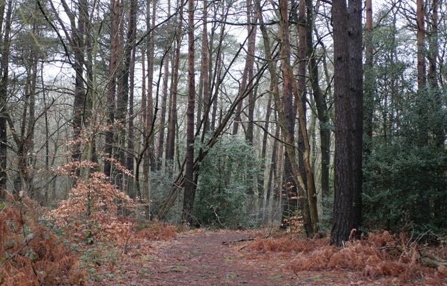 Page d'accueil Yahoo news