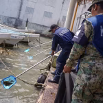 Marée noire au Mexique : les plages polluées suscitent la colère des défenseurs de l'environnement