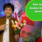 Explore les tulipes colorées des Pays-Bas : vocabulaire et quiz dans Viens, je t'explique