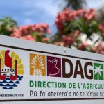 La réduction du nombre d’agents “amène de la frustration”