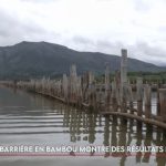 Thio solidaire envers ses habitants, une barrière en bambou dans la mangrove… Le JT de Caledonia du lundi 2 mars