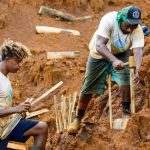 Des barrages en bois pour freiner l’érosion au pont des Japonais