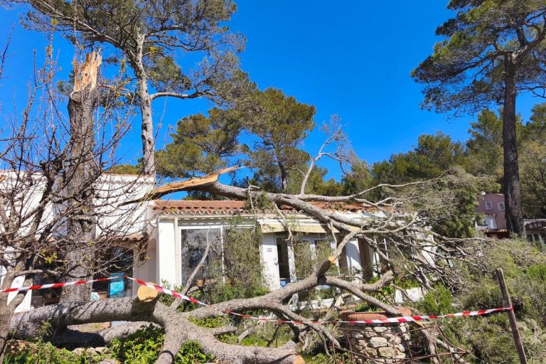 À Toulon, une dizaine d'arbres arrachés au Faron et un restaurant endommagé par le vent.