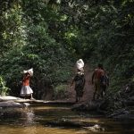 En RDC, des communautés s'unissent pour protéger leurs forêts menacées