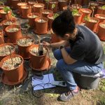 Viticulture et santé des sols : alternatives au cuivre explorées par l'IMBE