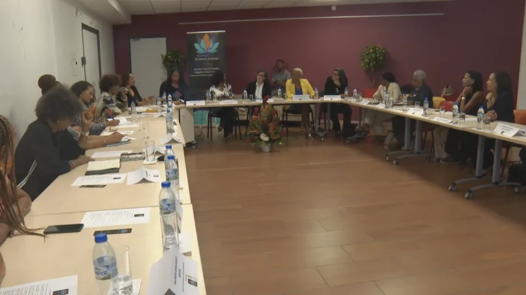 L'association Archip’elles, une voix pour les femmes caribéennes