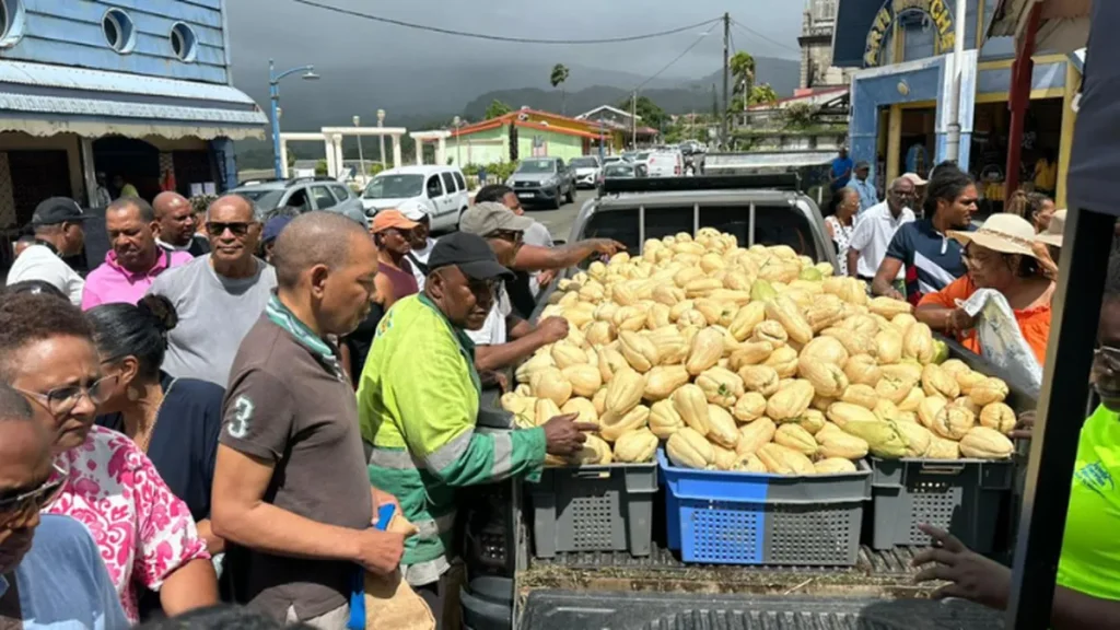 Au Morne-Rougela christophine à prix cassé fait le plein