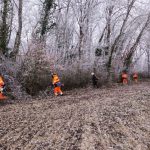 Compensation biodiversité : rôle des Brigades Nature dans la LGV Tours-Bordeaux