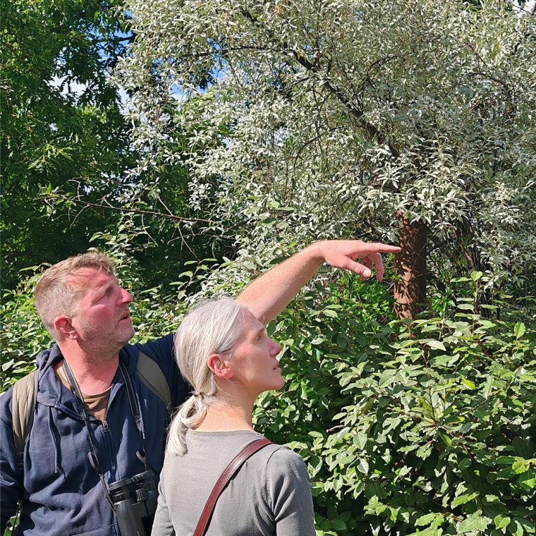Balade Nature "Votre quartier au printemps" / à la Pouponnière