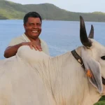 Biguine et le Salon de l'agriculture 2026 : quelles perspectives pour les éleveurs martiniquais ?