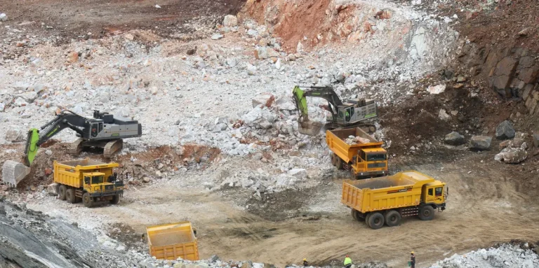 Transition énergétique : peut-on avancer sans nuire à la nature ?