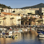 À Bruxelles, les pêcheurs luttent pour leur survie face aux défis économiques