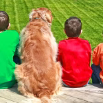 Chiens et humains : une complicité de 16 000 ans mise en lumière