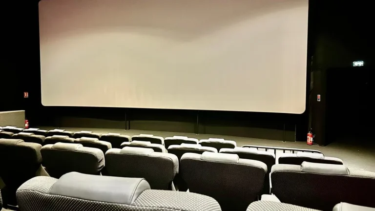 Cinéma : 5 films martiniquais au « Festival Nouveaux Regards » 2026 de Guadeloupe