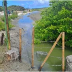 Conflit entre écologistes et occupant sur le canal naturel de l’Étang des Salines à Sainte-Anne