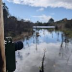 Conservatoire d'espaces naturels en Corse : protection et valorisation de la biodiversité