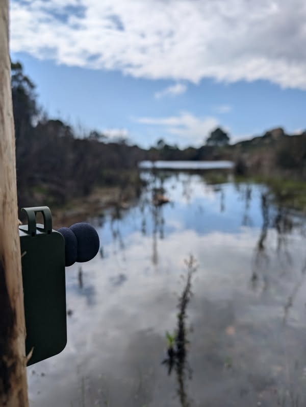 Conservatoire d'espaces naturels en Corse : protection et valorisation de la biodiversité