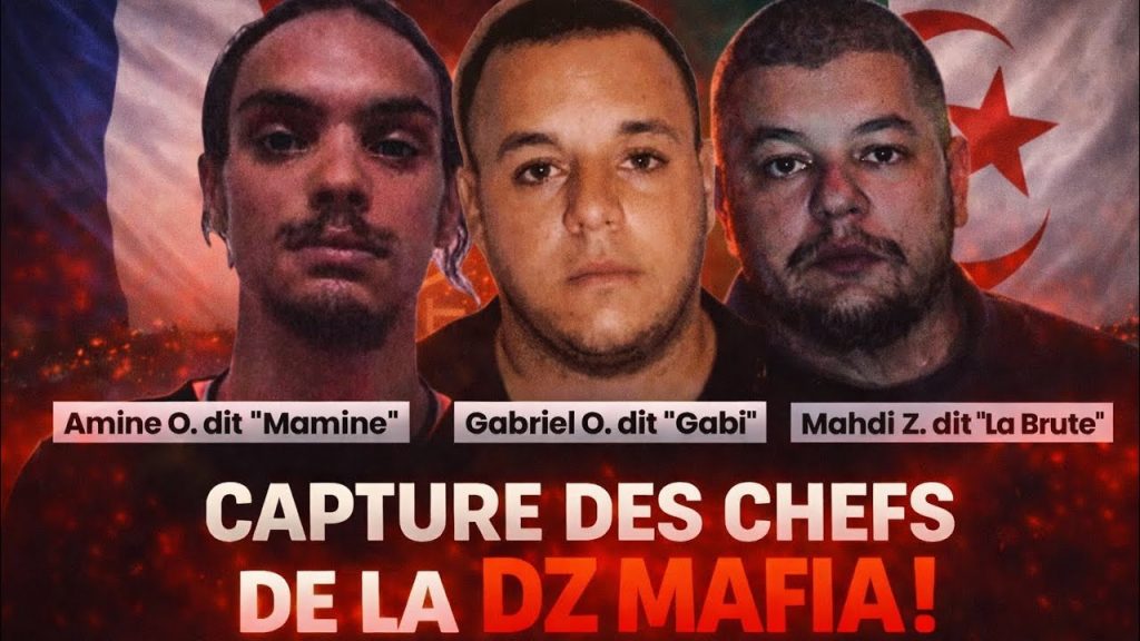 DZ Mafia : L'Opération Octopus qui a Secoué la France
