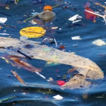 Des chercheurs suisses utilisent l'IA pour détecter les débris marins dans les océans.