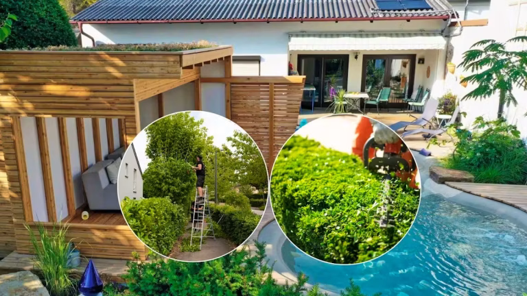 Des milliers d'euros investis pour transformer leur jardin en espace de rêve