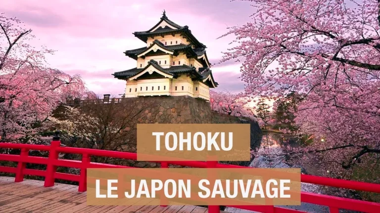 Documentaire : Tohoku, à la découverte des secrets du Japon sauvage